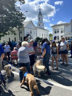 Therapy Dogs, Intergenerational event