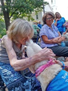 Therapy Dogs, Intergenerational event