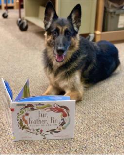 Reading dog