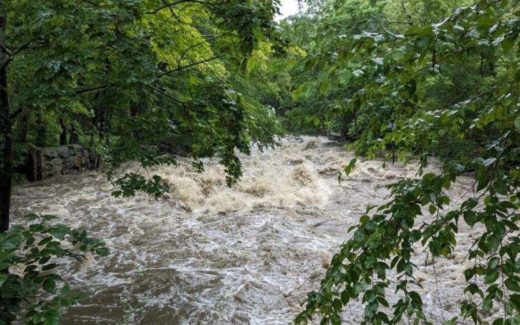 Photo by Courteny Morehouse of Mill River flooding